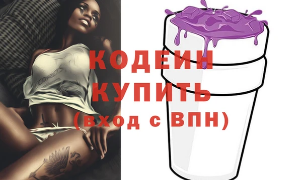 индика Чердынь