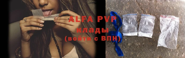прущие крисы Шарыпово