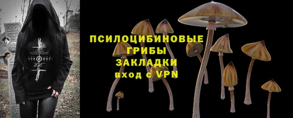 ешки Шали