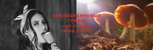 ешки Шали