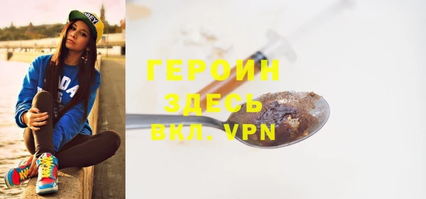 индика Чердынь