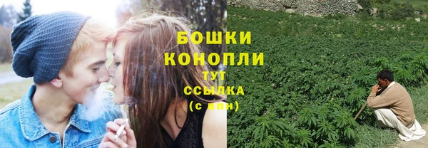 ешки Шали