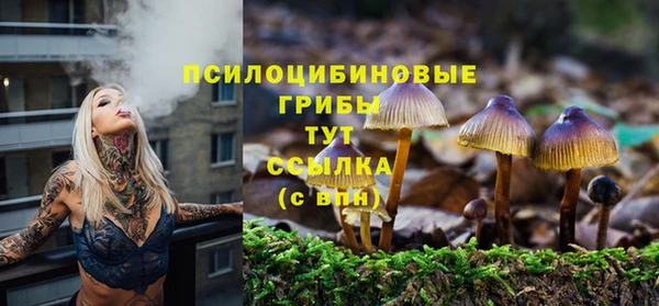 ешки Шали