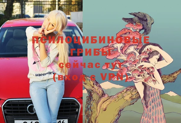 прущие крисы Шарыпово